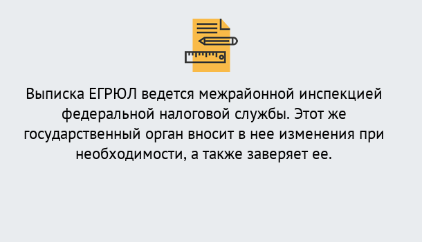 Почему нужно обратиться к нам? Шатура Выписка ЕГРЮЛ в Шатура ?