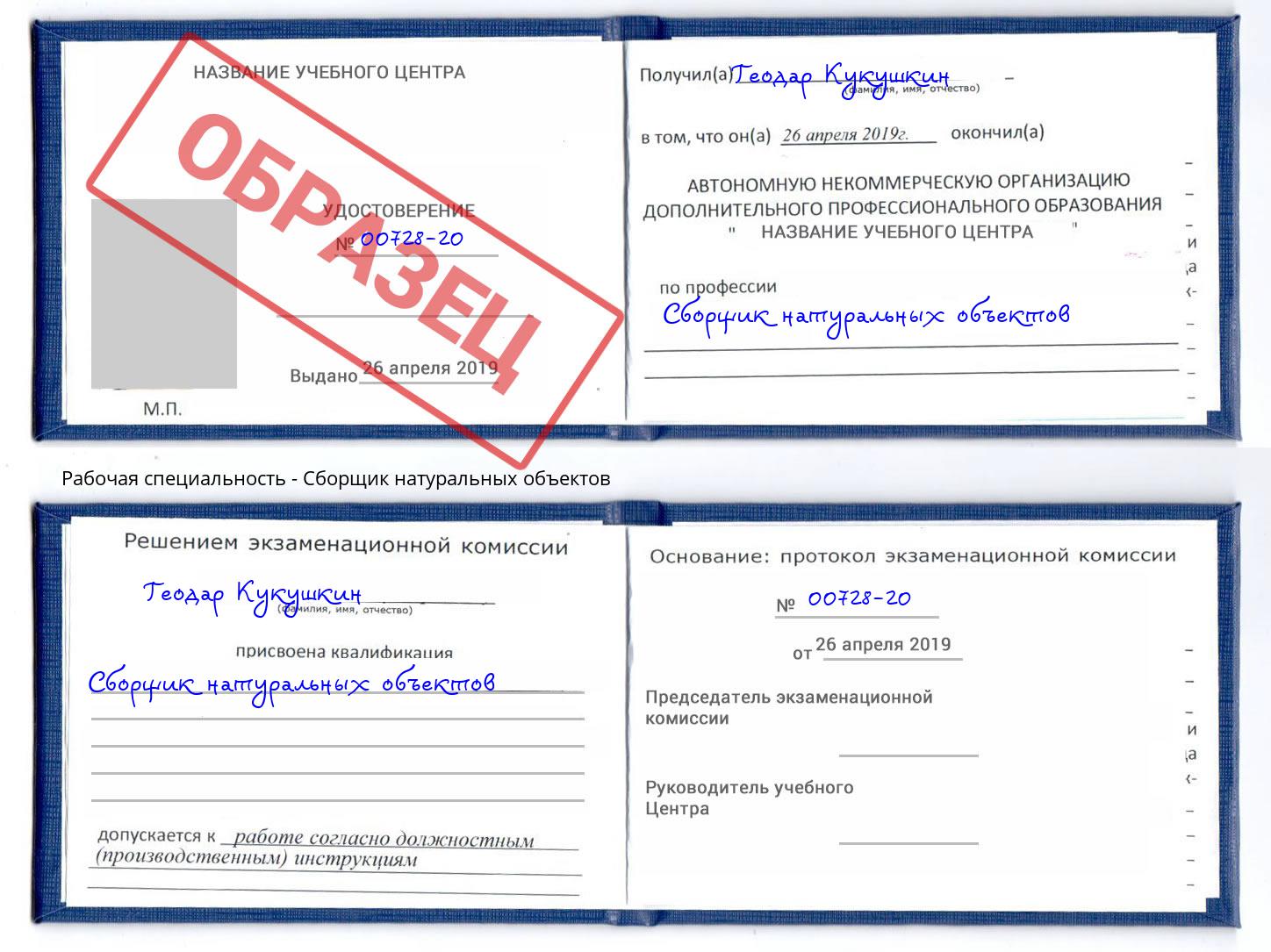 Сборщик натуральных объектов Шатура