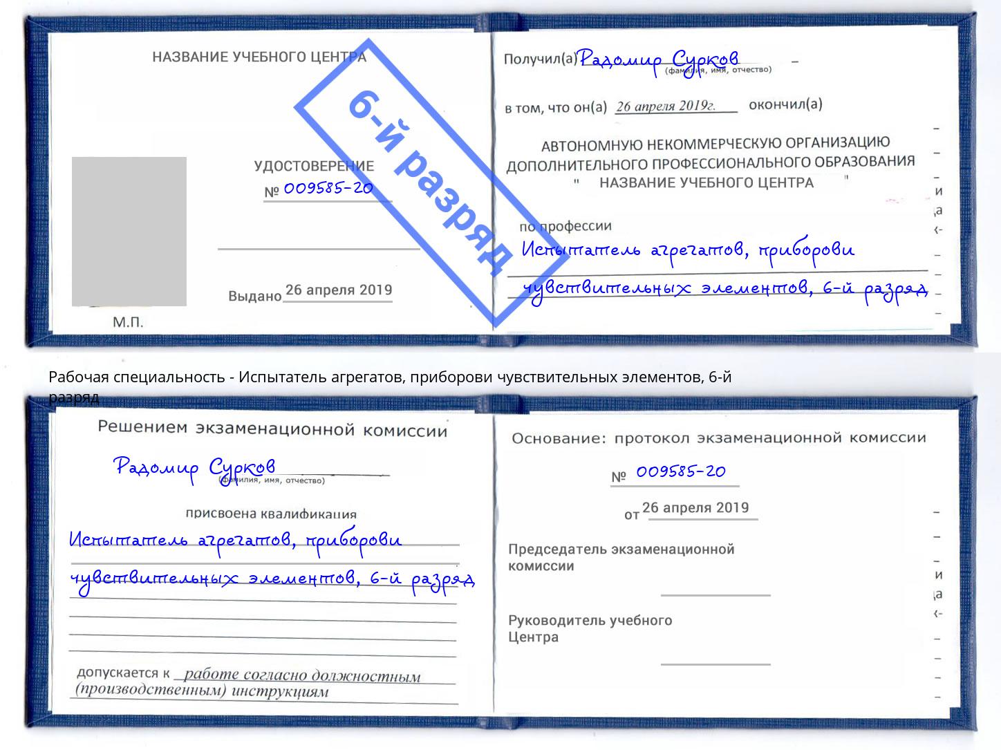 корочка 6-й разряд Испытатель агрегатов, приборови чувствительных элементов Шатура