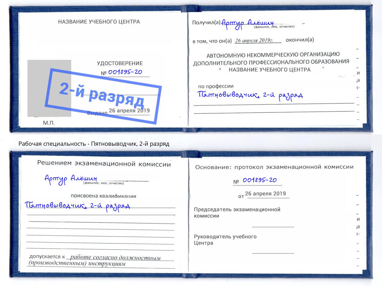 корочка 2-й разряд Пятновыводчик Шатура