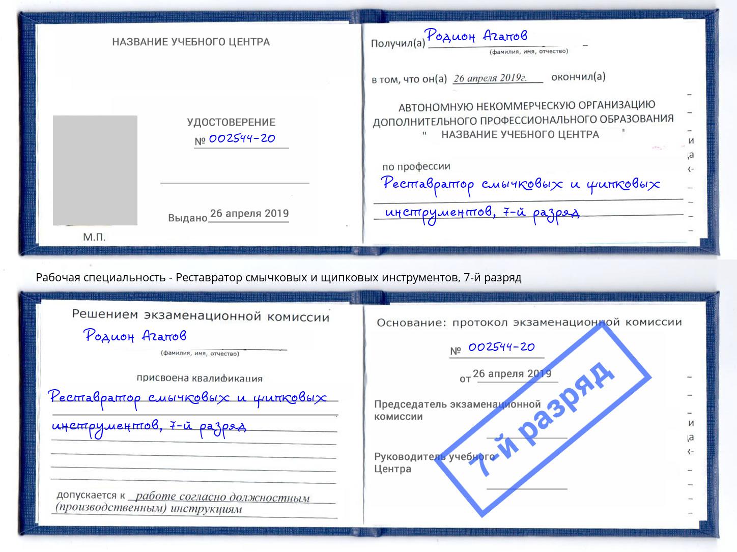 корочка 7-й разряд Реставратор смычковых и щипковых инструментов Шатура