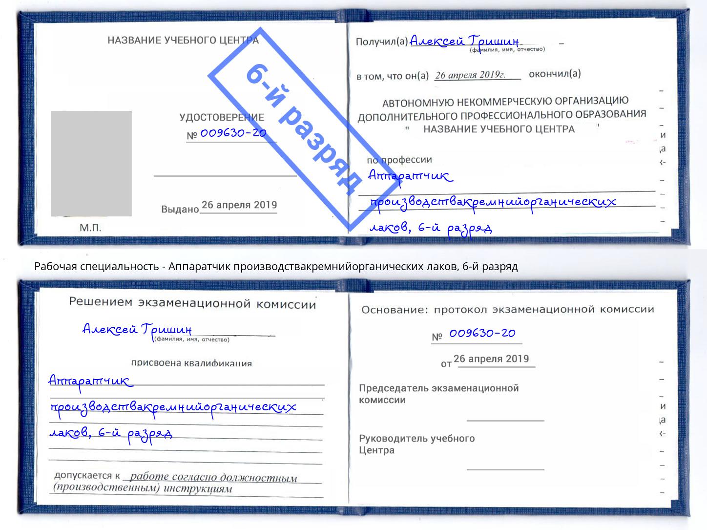 корочка 6-й разряд Аппаратчик производствакремнийорганических лаков Шатура