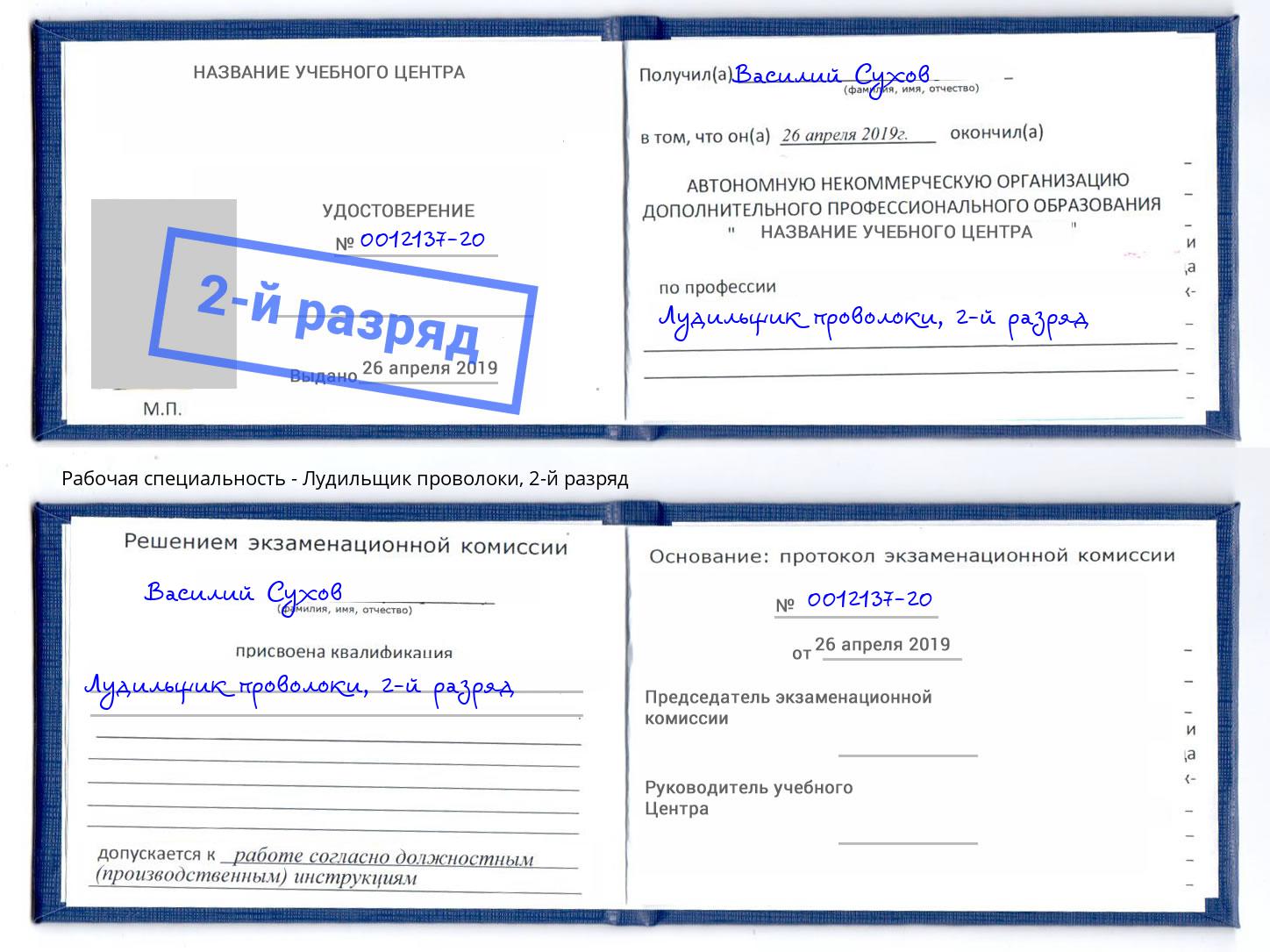 корочка 2-й разряд Лудильщик проволоки Шатура