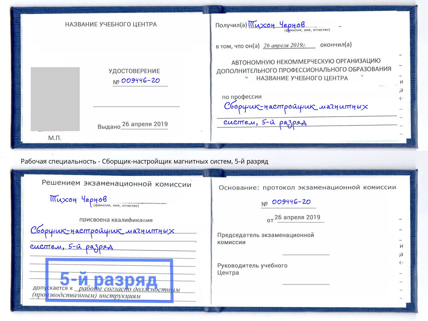 корочка 5-й разряд Сборщик-настройщик магнитных систем Шатура